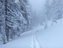 Срочное предупреждение от МЧС и автомобилистов: на Владимир надвигается снежный коллапс