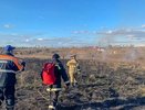 Во Владимирской области загорелась территория площадью 250 кв.м