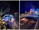 Во Владимирской области два автомобиля столкнулись с лосем