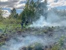 Спасатели Владимирской области потушили пожар площадью 500 кв.м.
