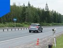 Названы участки дорог во Владимирской области, на которых на этой неделе будут работать передвижные камеры