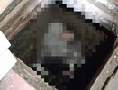 Во Владимирской области обнаружили труп матери двоих детей