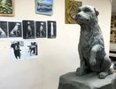 Во Владимирской области установят памятник бездомному псу