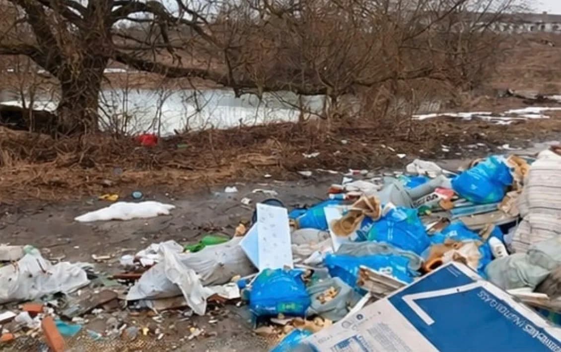 Мусор свозили со всего района: у водоёма в Порецком убрали большую свалку