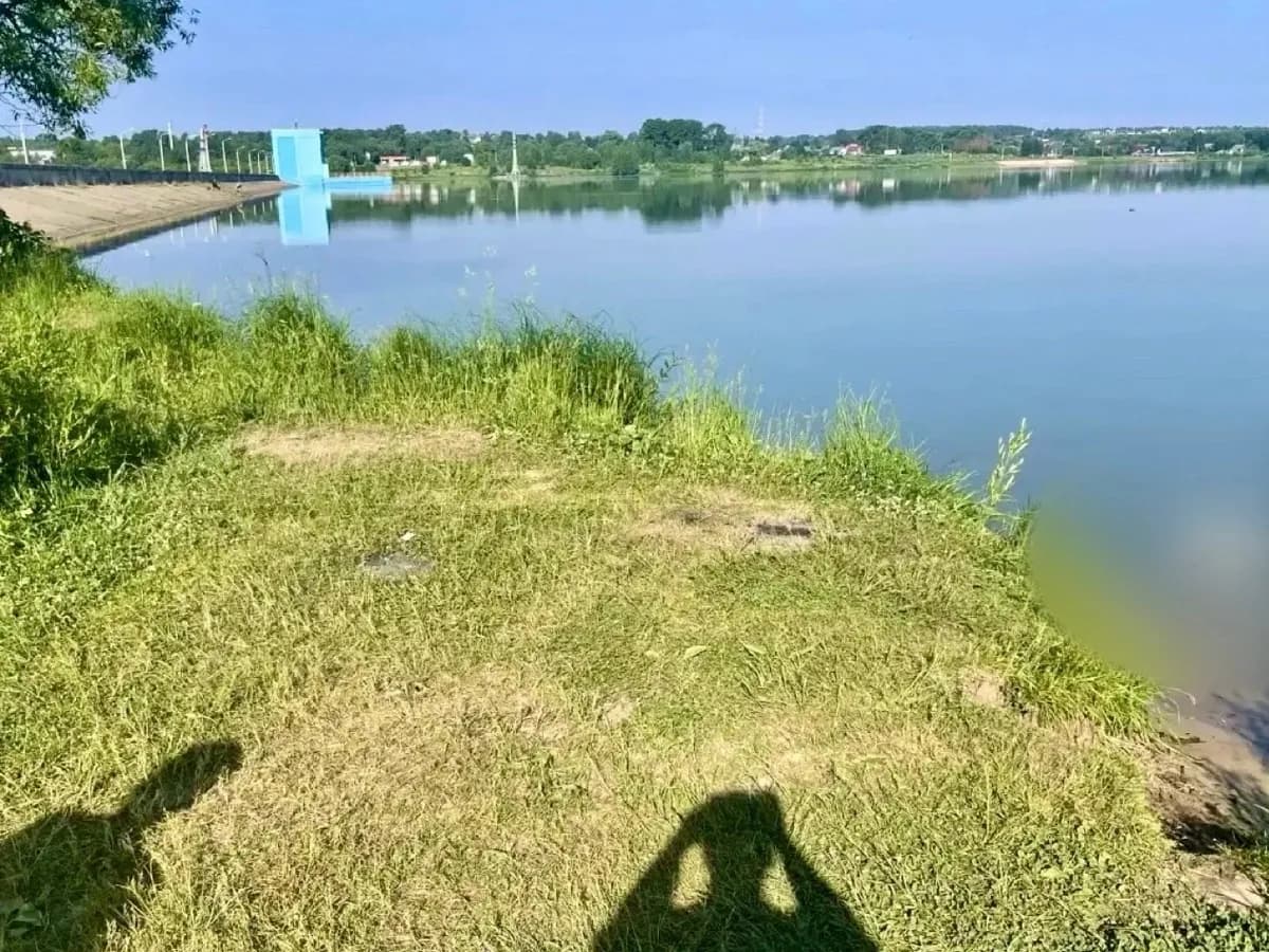 В Кольчугине на берегу Пекши нашли тело 16-летнего подростка