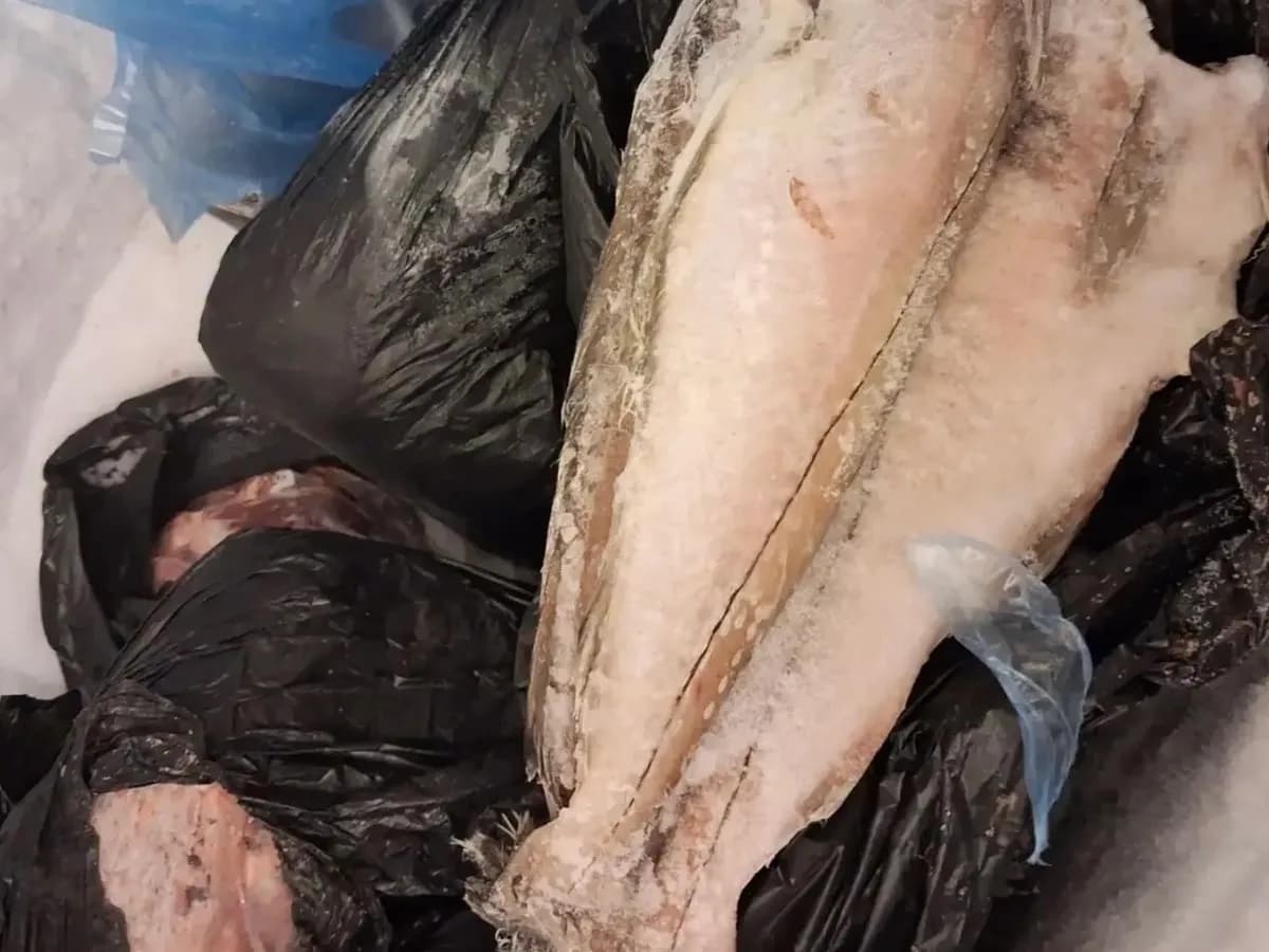 В детсадах Владимирской области детей кормили продуктами без маркировки
