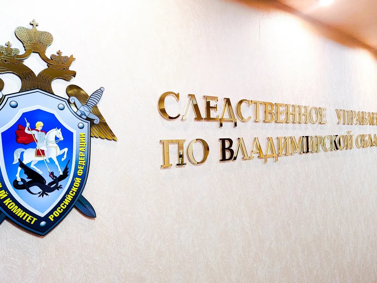 16-летнюю девушку из Меленок поймали на дропперстве