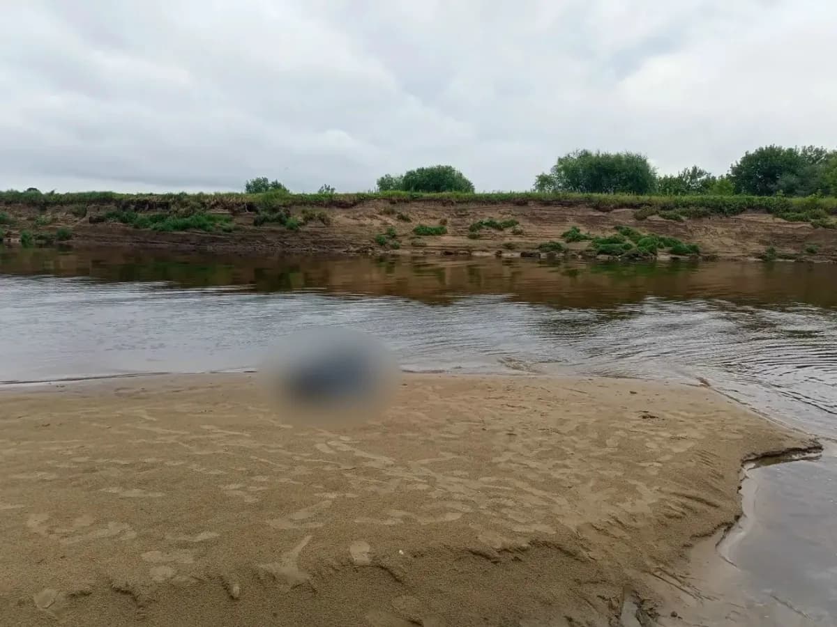 Бросился спасать: во Владимирской области дедушка и 6-летний внук погибли в реке