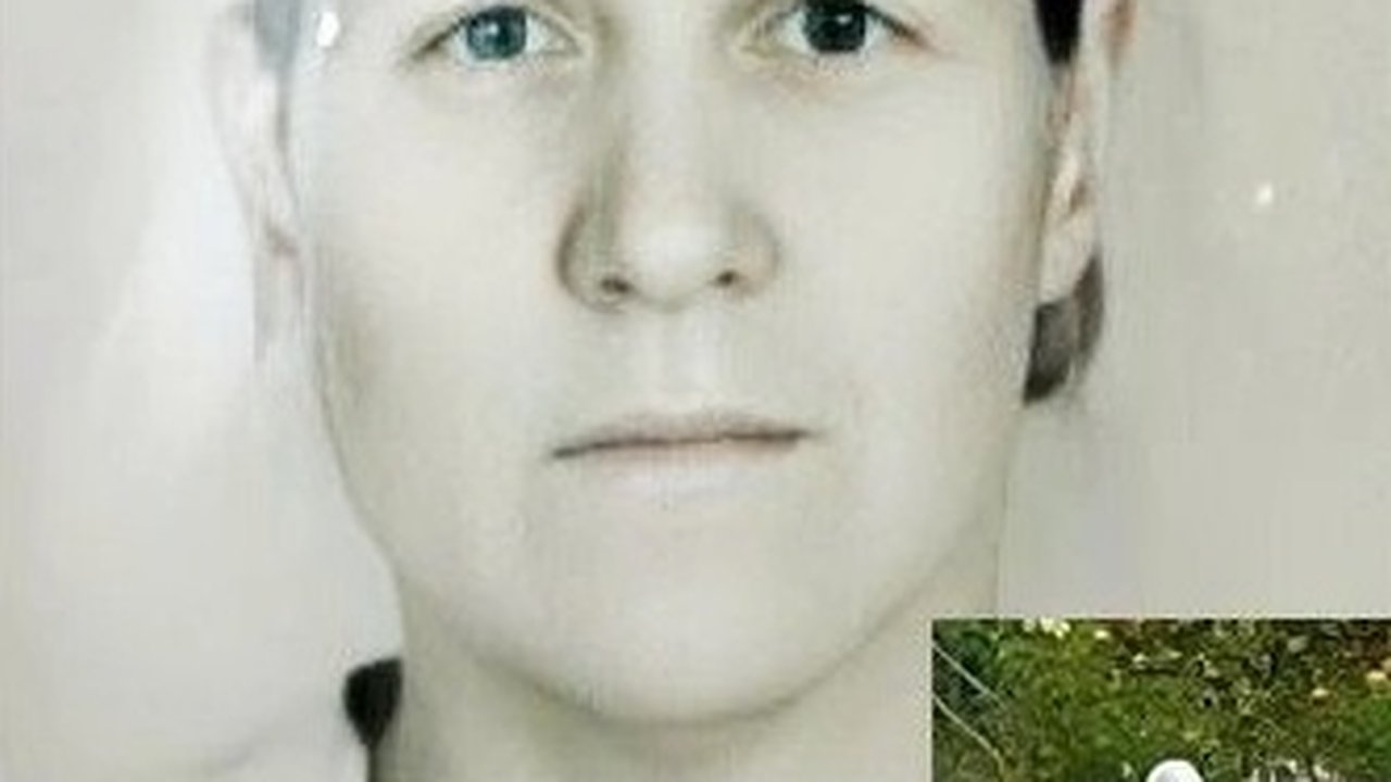 Главная картинка новости: Ушла в лес и не вернулась: во Владимирской области с лета ищут пропавшую 70-летнюю женщину