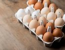 Генпрокуратура проведет проверку по факту роста цен на куриные яйца