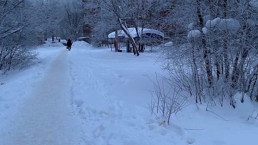 Главная картинка новости: Во Владимире крепкие морозы продлятся все новогодние праздники