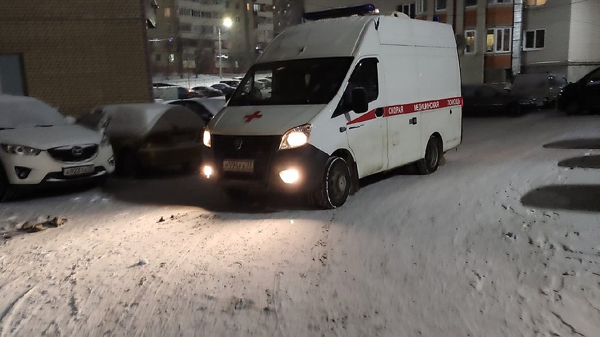 Главная картинка новости: Ученый предупредил о том, что в 2024 году практически каждый месяц возможны магнитные бури