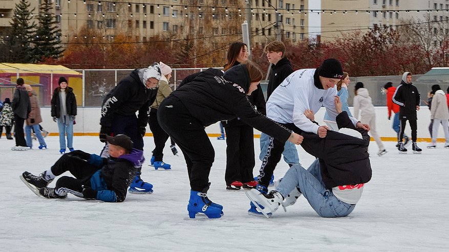 Главная картинка новости: Во Владимире планируют продать каток "Пингвин"