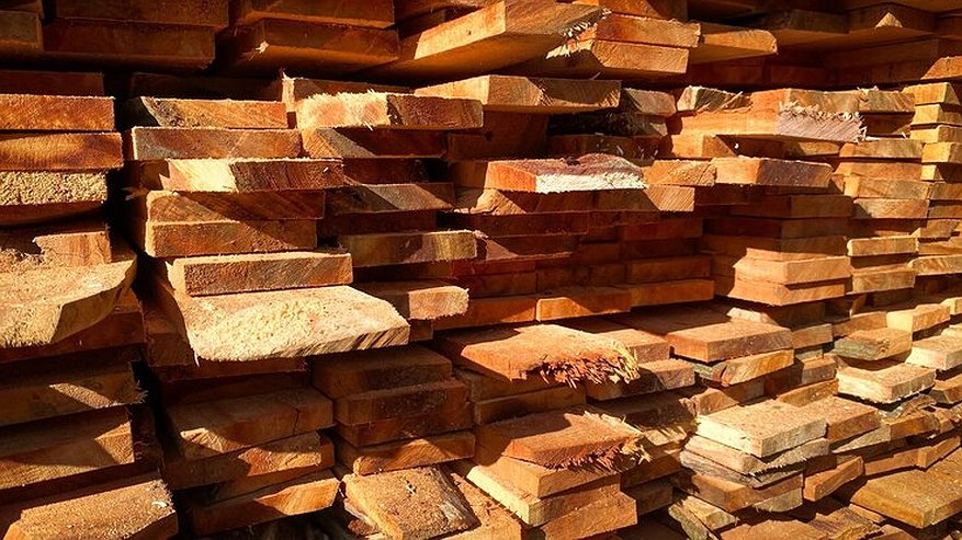 Главная картинка новости: Жителя Селивановского района обвинили в мошенничестве с пиломатериалами