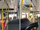 В Муроме бабушка, дедушка и внук устроили драку в автобусе