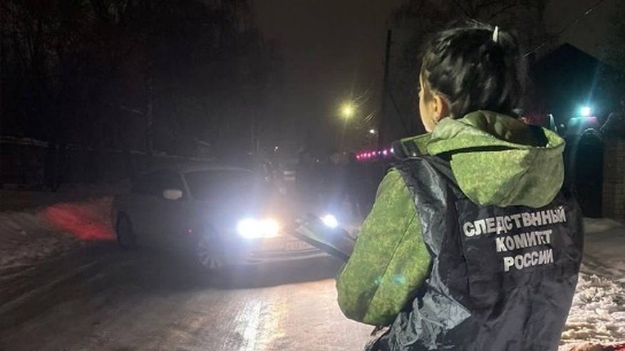 Главная картинка новости: В Гороховце женщина обнаружила тело мужчины во дворе своего дома