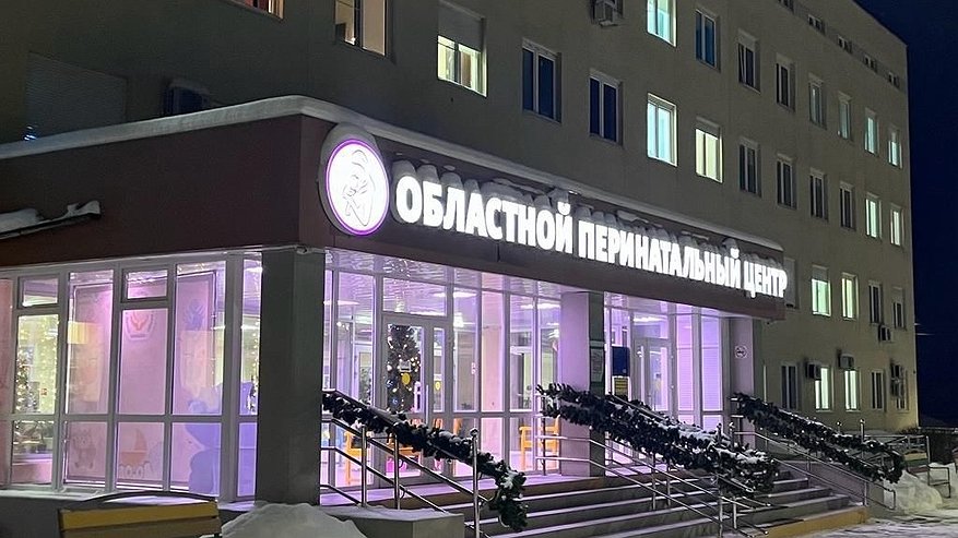 Главная картинка новости: С начала 2024 года во Владимирской области родилось более 20 малышей