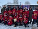 Команда юных хоккеистов из Судогды завоевала золото всероссийских соревнований