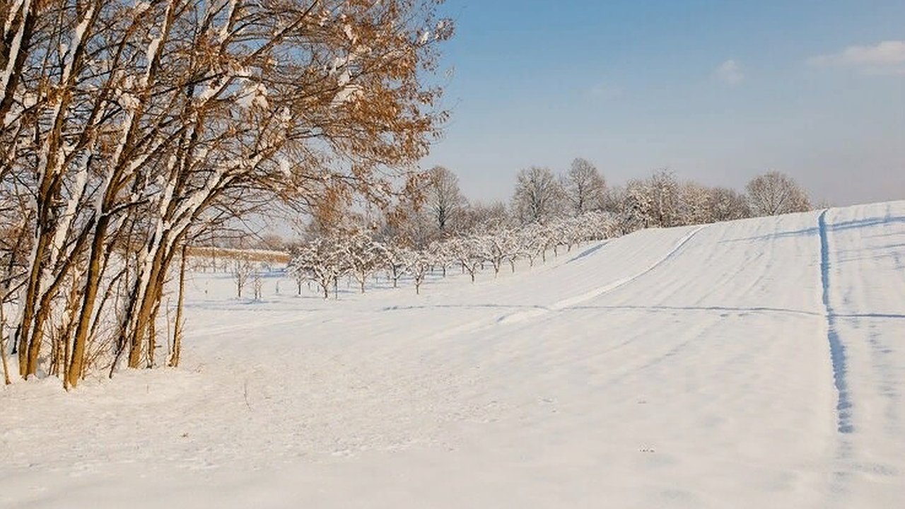Главная картинка новости: На стадионе в Коврове обнаружили труп девушки