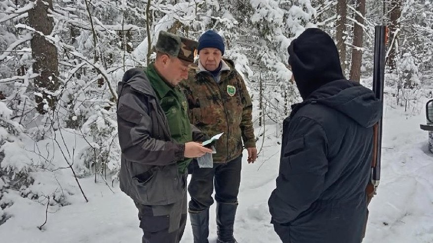 Главная картинка новости: Во Владимирской области госохотинспекторы выявили 24 случая незаконной охоты