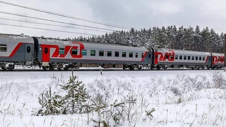 Главная картинка новости: В Муроме полицейские сняли трех нетрезвых хулиганов с поезда