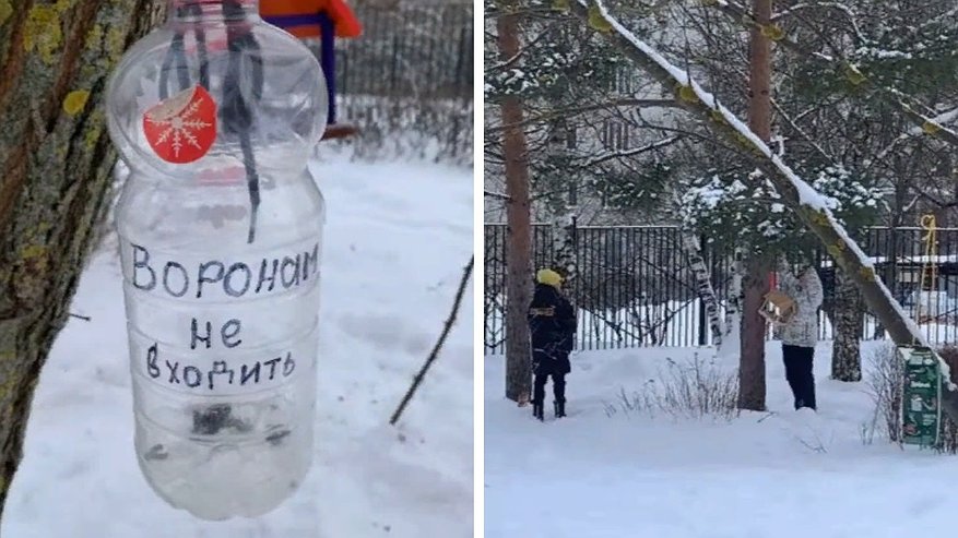 Главная картинка новости: Владимирские школьники изготавливают и развешивают кормушки для птиц