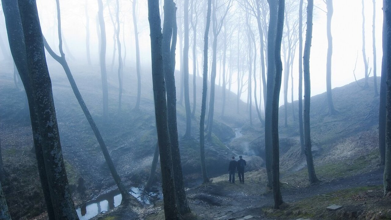 Главная картинка новости: Пропавшего 16-летнего ковровчанина нашли мертвым