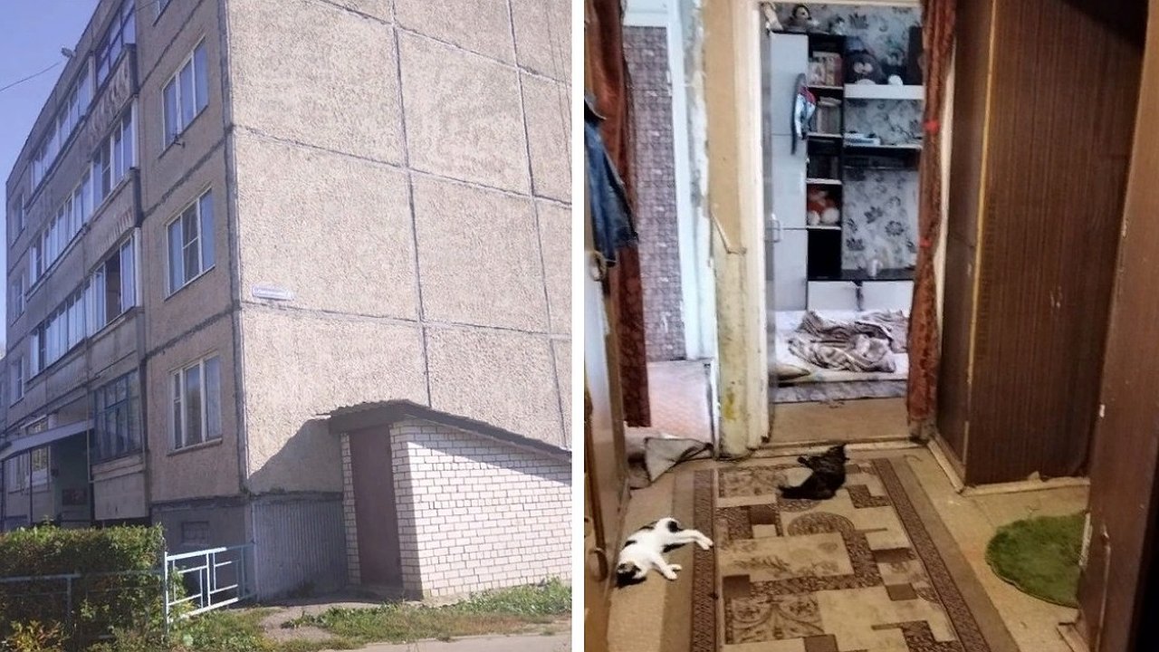 Главная картинка новости: В Юрьев-Польском районе будут судить мужчину за смерть 5 человек от отравления пестицидами