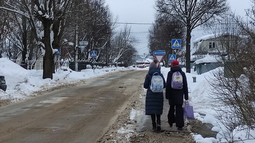 Главная картинка новости: Владимирских школьников освободили от учебы с 15 марта