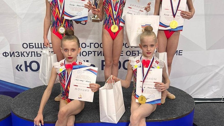 Главная картинка новости: Владимирские гимнастки завоевали золотые медали на Всероссийских соревнованиях