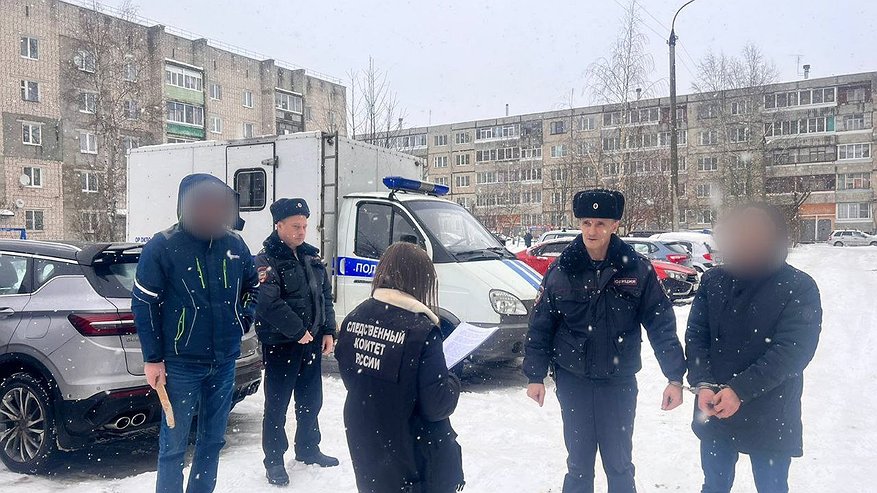 Главная картинка новости: Житель Владимирской области пойдет под суд за убийство гостя под Новый год