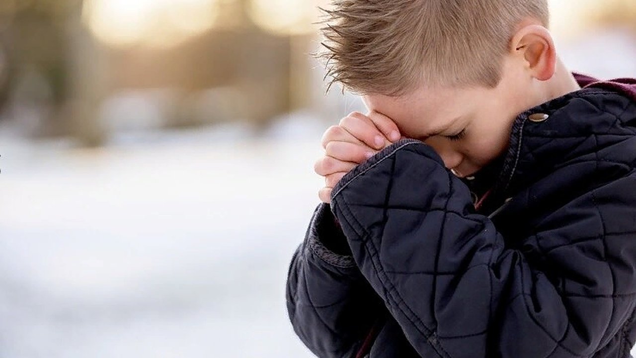 Главная картинка новости: Пропавшего во Владимирской области 8-летнего мальчика нашли живым