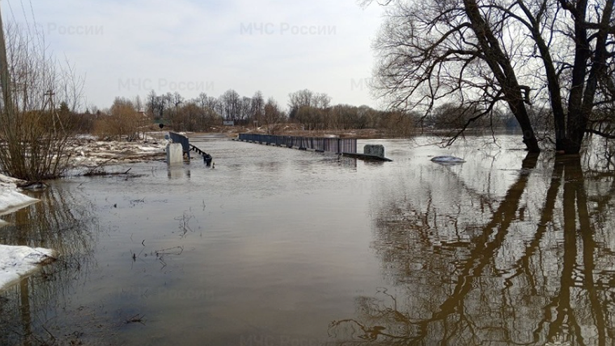 Главная картинка новости: Половодье затопило 50 дворов и несколько мостов во Владимирской области