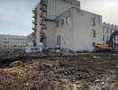 В мэрии высказались по поводу спиленных елей у Арт Холла