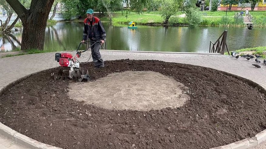 Главная картинка новости: Во Владимире выбрали компанию, которая будет разрабатывать проект озеленения города