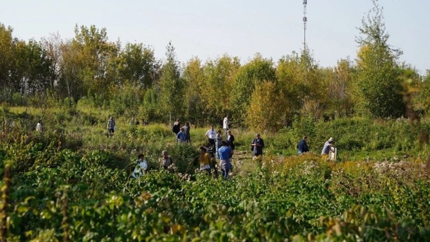 На Сунгирской стоянке под Владимиром пройдет субботник