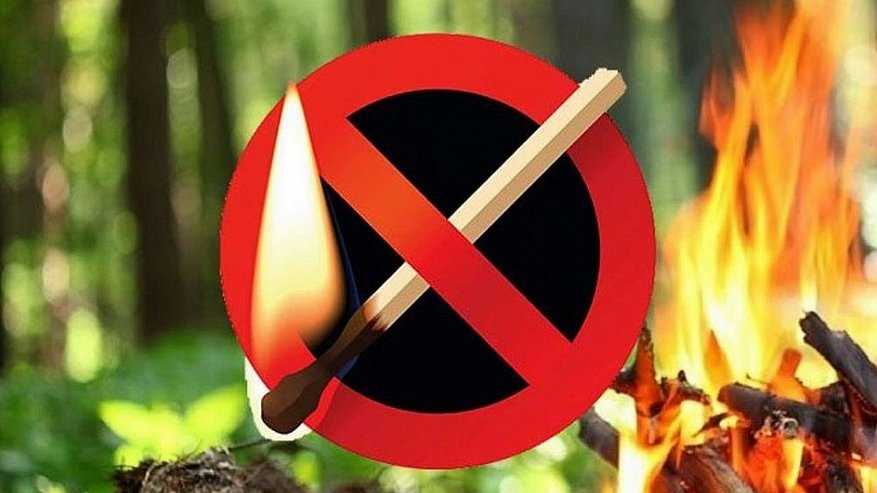 Главная картинка новости: Во Владимирской области вводится особый противопожарный режим