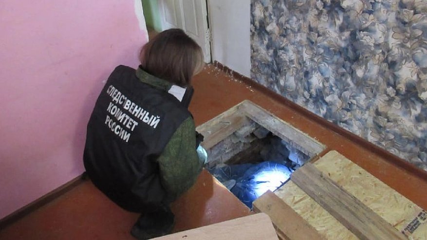 Главная картинка новости: Во Владимирской области мужчина жестоко убил пожилую сожительницу и попытался скрыться от обвинения