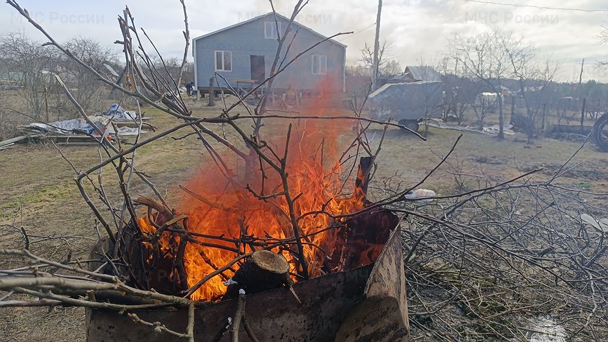 Главная картинка новости: С сегодняшнего дня во Владимирской области действует особый противопожарный режим: что нужно знать