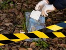 Жестоко убитого в Москве переводчика расчленили и вывезли его останки во Владимирскую область