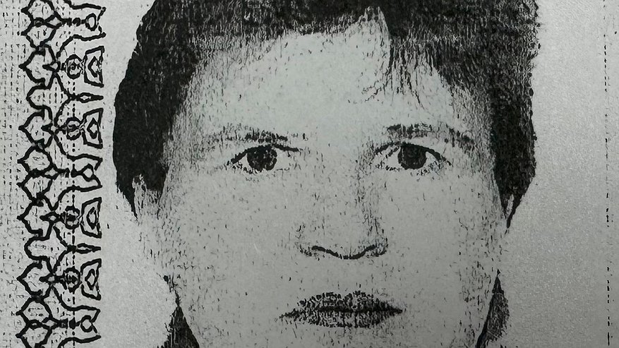 Главная картинка новости: Владимирские приставы разыскивают мать, которая задолжала своему 12-летнему сыну 1 миллион рублей алиментов