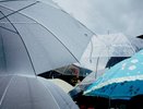 Дожди и холода: синоптики представили неприятный прогноз погоды на эту неделю