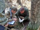 Во Владимирской области идет подготовка к борьбе с непарным шелкопрядом