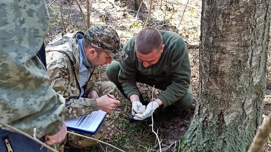 Главная картинка новости: Во Владимирской области идет подготовка к борьбе с непарным шелкопрядом