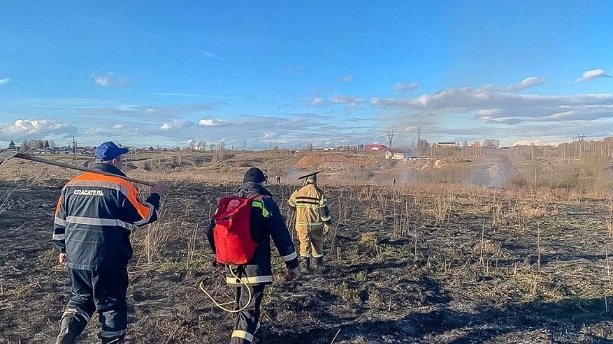 Главная картинка новости: Во Владимирской области загорелась территория площадью 250 кв.м