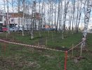 20 апреля во Владимире проходит общегородской субботник