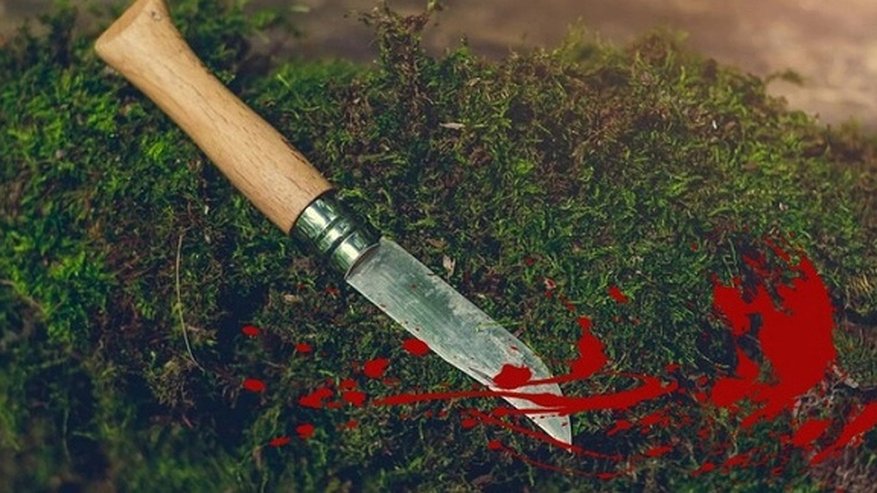 Главная картинка новости: Житель Владимирской области зарезал собутыльника из-за приступа ревности