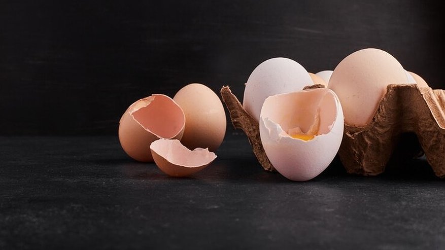 Главная картинка новости: Почти все садоводы используют яичную скорлупу неправильно: совет экспертов