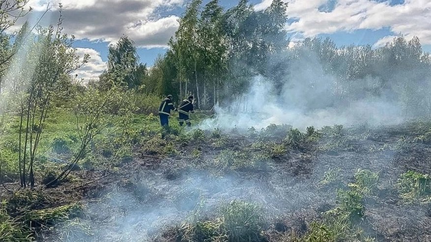 Главная картинка новости: Спасатели Владимирской области потушили пожар площадью 500 кв.м.