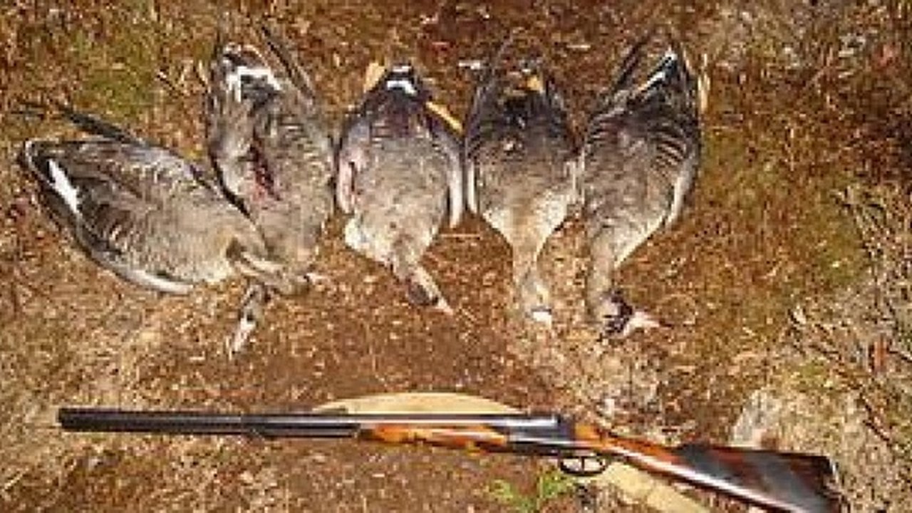 Главная картинка новости: Во Владимирской области задержали браконьера